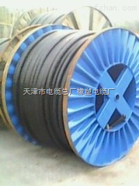 工程用线---VVR22 5*16 1KV 低压电缆