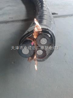 消防设备线 NH-YJV22 3*300+2*150 单价