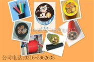 潜水泵电缆JHS深井泵电缆价格