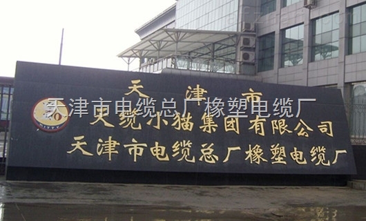 天津生产CEFR2*240+1*70异型大平方数电缆CEFR2*240+1*70船用电缆厂