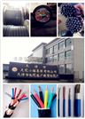 软芯电缆RVVP 11*6 屏蔽软电缆线