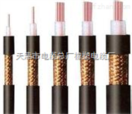 DJYP3V 电缆DJYP3V 对绞 铝塑复合带 计算机电缆