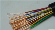 对绞 分屏蔽 电缆DJYP2V 计算机电缆450V
