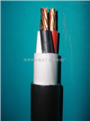 DJYP2V 450V 对绞总屏计算机电缆供应信息