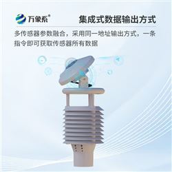 WX-WQX10C并網式光伏環境監測儀