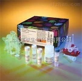 兔IgG干粉,現(xiàn)貨銷售