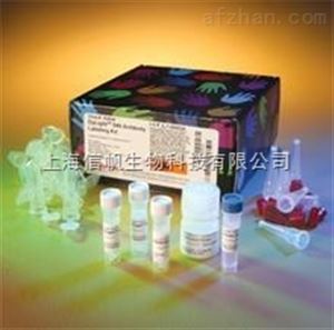 兔IgG干粉,現貨銷售