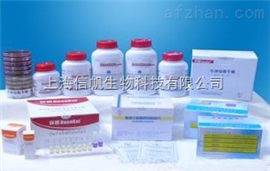 明膠瓊脂糖凝膠4B