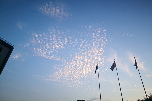 能源高质量发展专家谈丨以高质效投融资赋能能源行业高质量发展