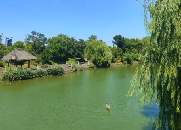 全栈国产化筑基 多链数字化联动 雅安防汛“中枢大脑”赋能现代化水旱灾害防御