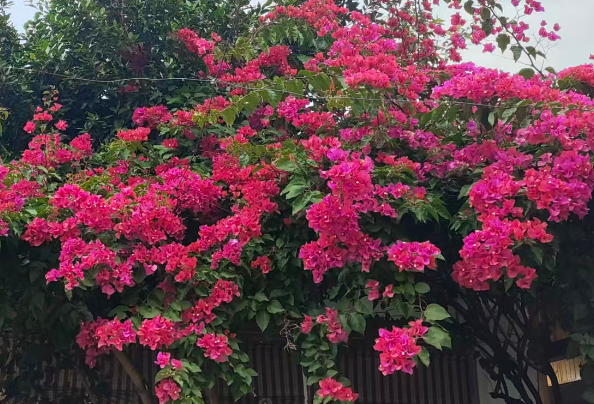 浙江省人民政府关于印发《推动经济高质量发展若干政策（2026年版）》的通知