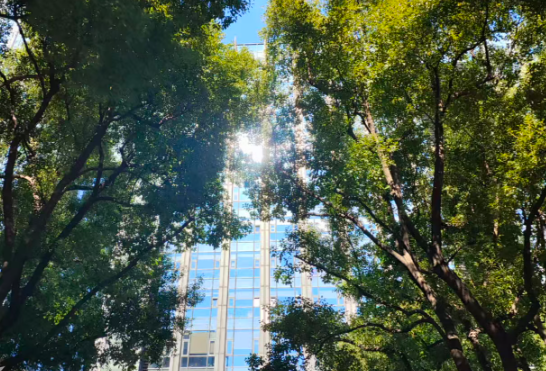 AI赋能民意分析  无锡宜兴解锁基层治理新效能