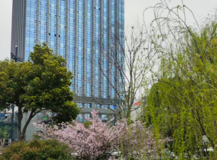 快递、外卖包装“瘦身令”来袭 从源头推进城市垃圾减量