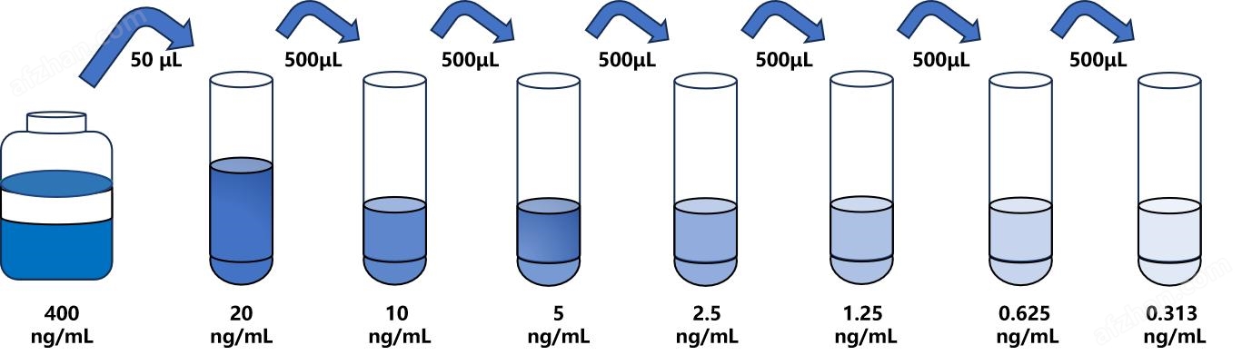 人蛋白酶體亞基β6(PSMβ6)檢測試劑盒