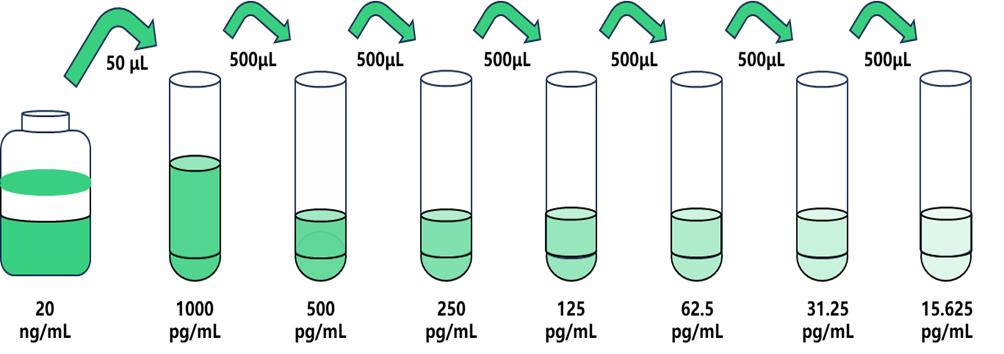 CCR3/小鼠CC趨化因子受體3抗體試劑盒